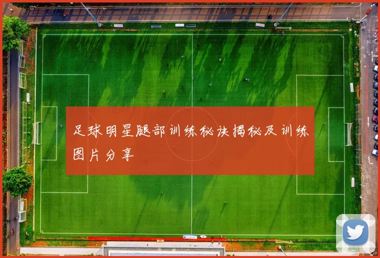 足球明星腿部训练秘诀揭秘及训练图片分享