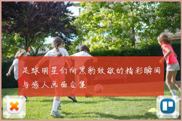 足球明星们向黑豹致敬的精彩瞬间与感人画面合集