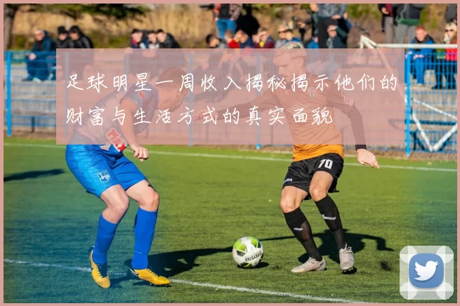 足球明星一周收入揭秘揭示他们的财富与生活方式的真实面貌