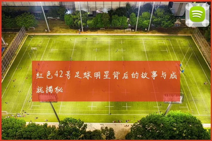 红色42号足球明星背后的故事与成就揭秘